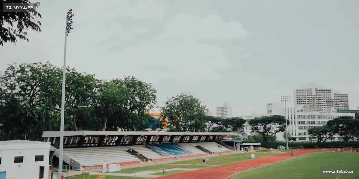 <strong>91吃瓜入口</strong>释放影视无限创意，让每帧影像都充满精彩可能🚀